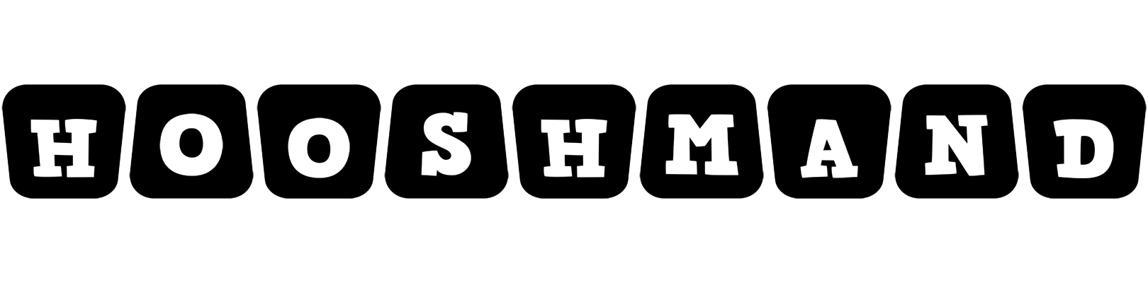 Hooshmand racing logo