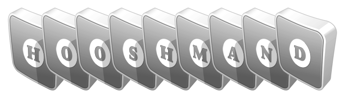 Hooshmand silver logo