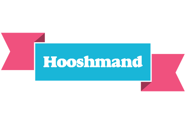 Hooshmand today logo