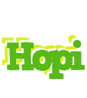 Hopi picnic logo