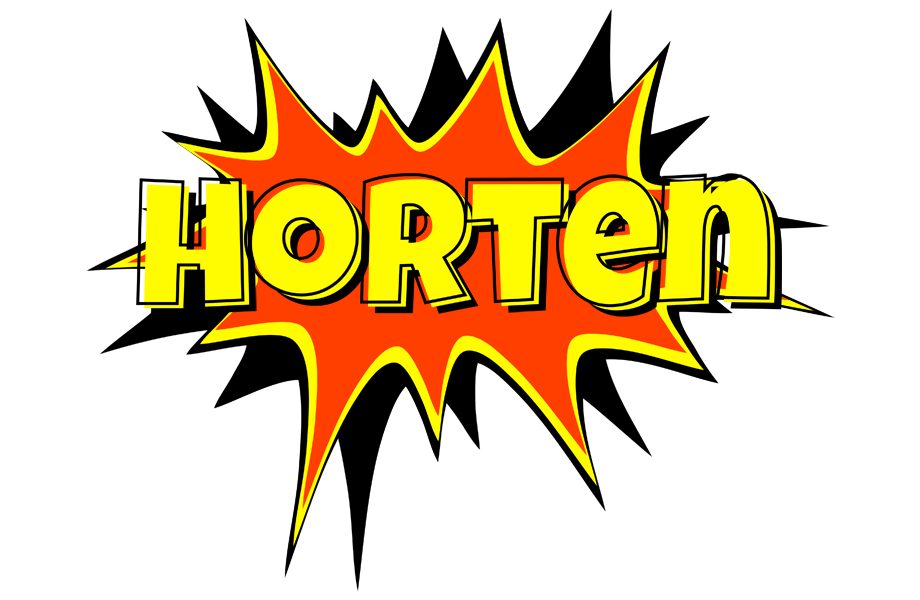 Horten bazinga logo