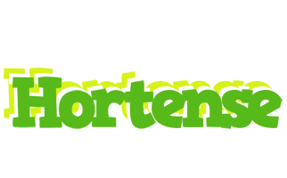 Hortense picnic logo