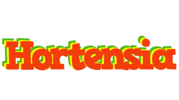 Hortensia bbq logo