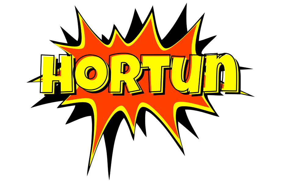 Hortun bazinga logo