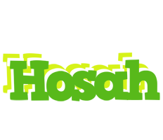 Hosah picnic logo