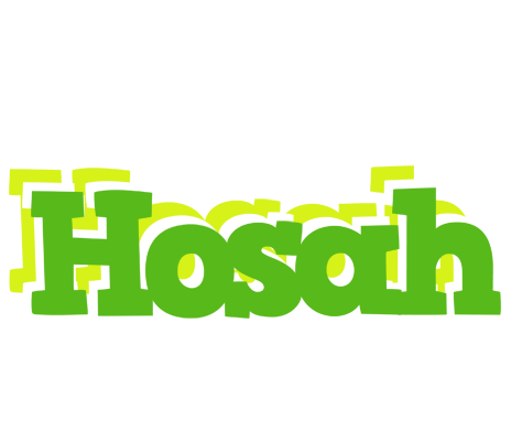 Hosah picnic logo