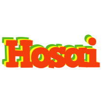 Hosai bbq logo