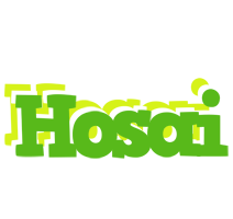 Hosai picnic logo