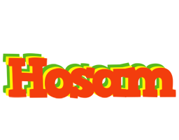 Hosam bbq logo