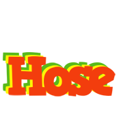 Hose bbq logo