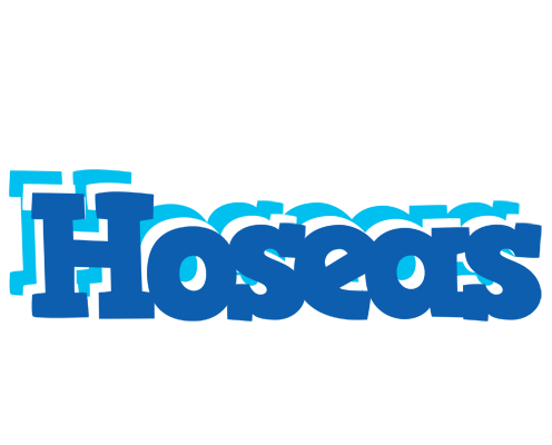 Hoseas business logo