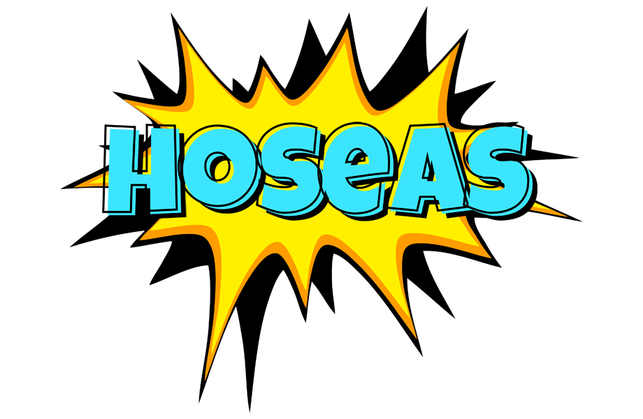 Hoseas indycar logo
