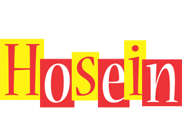 Hosein errors logo