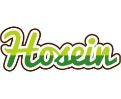 Hosein golfing logo