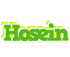 Hosein picnic logo