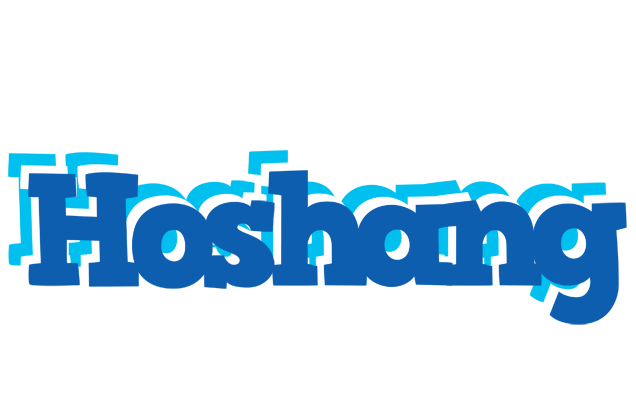 Hoshang business logo
