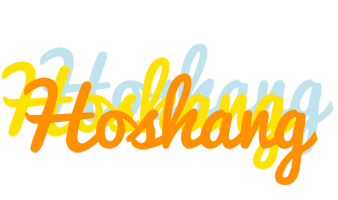 Hoshang energy logo