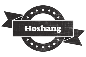 Hoshang grunge logo