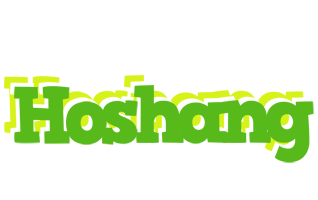 Hoshang picnic logo