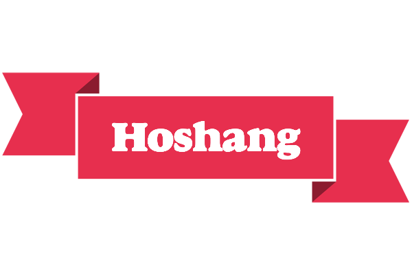 Hoshang sale logo
