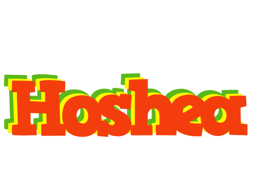 Hoshea bbq logo