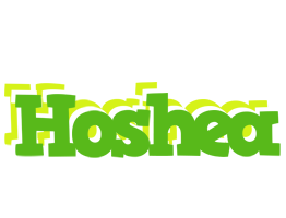 Hoshea picnic logo