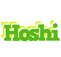 Hoshi picnic logo