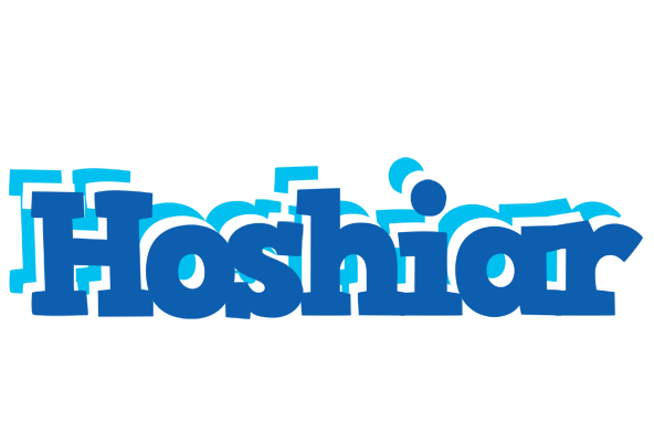 Hoshiar business logo
