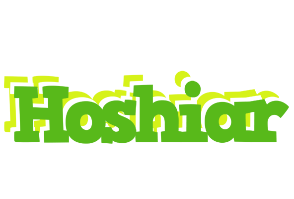 Hoshiar picnic logo