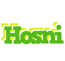 Hosni picnic logo