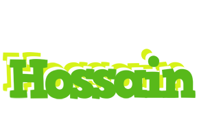 Hossain picnic logo