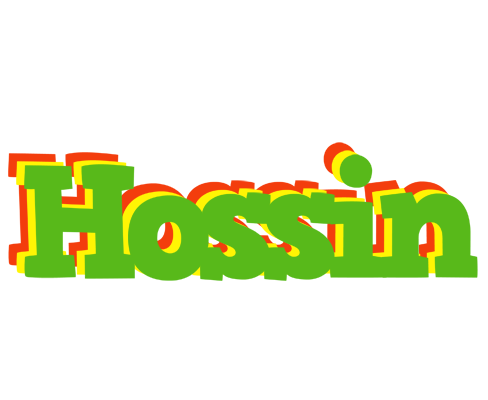 Hossin crocodile logo