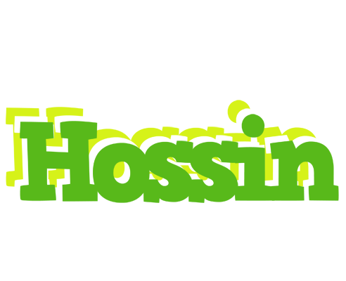 Hossin picnic logo