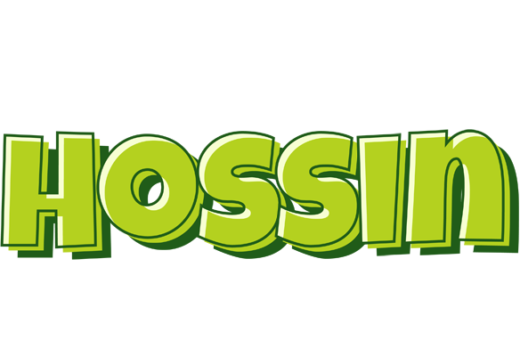Hossin summer logo