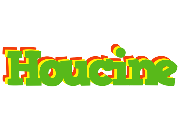Houcine crocodile logo