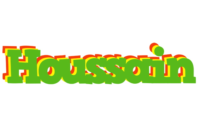 Houssain crocodile logo