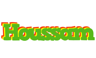 Houssam crocodile logo