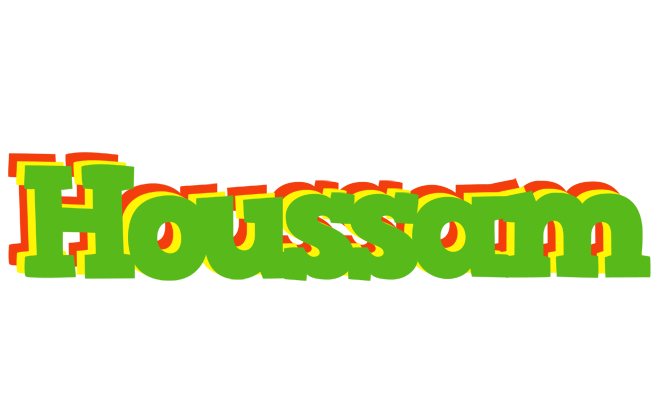 Houssam crocodile logo
