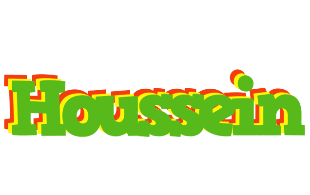 Houssein crocodile logo