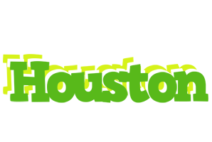 Houston picnic logo