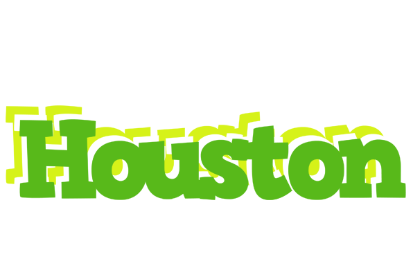 Houston picnic logo
