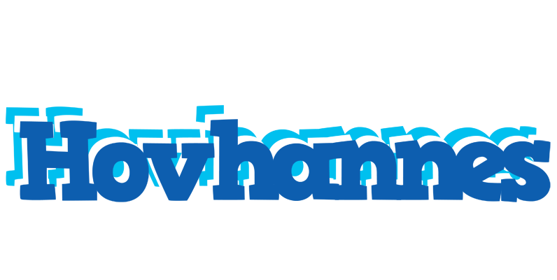 Hovhannes business logo
