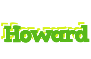 Howard picnic logo