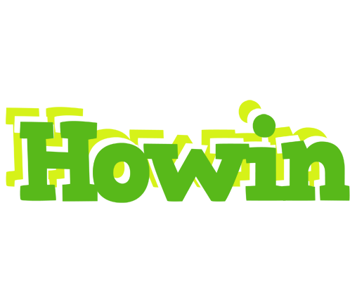 Howin picnic logo