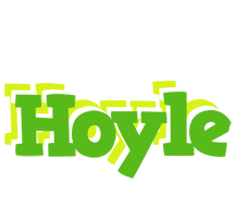 Hoyle picnic logo