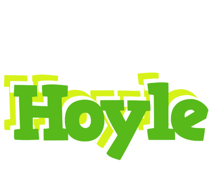 Hoyle picnic logo