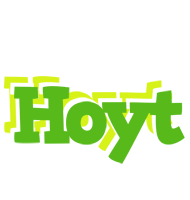 Hoyt picnic logo