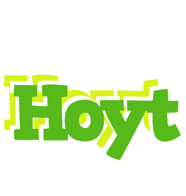 Hoyt picnic logo