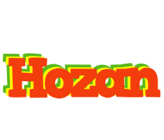 Hozan bbq logo