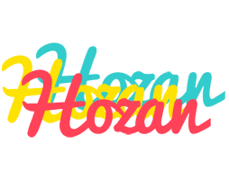 Hozan disco logo